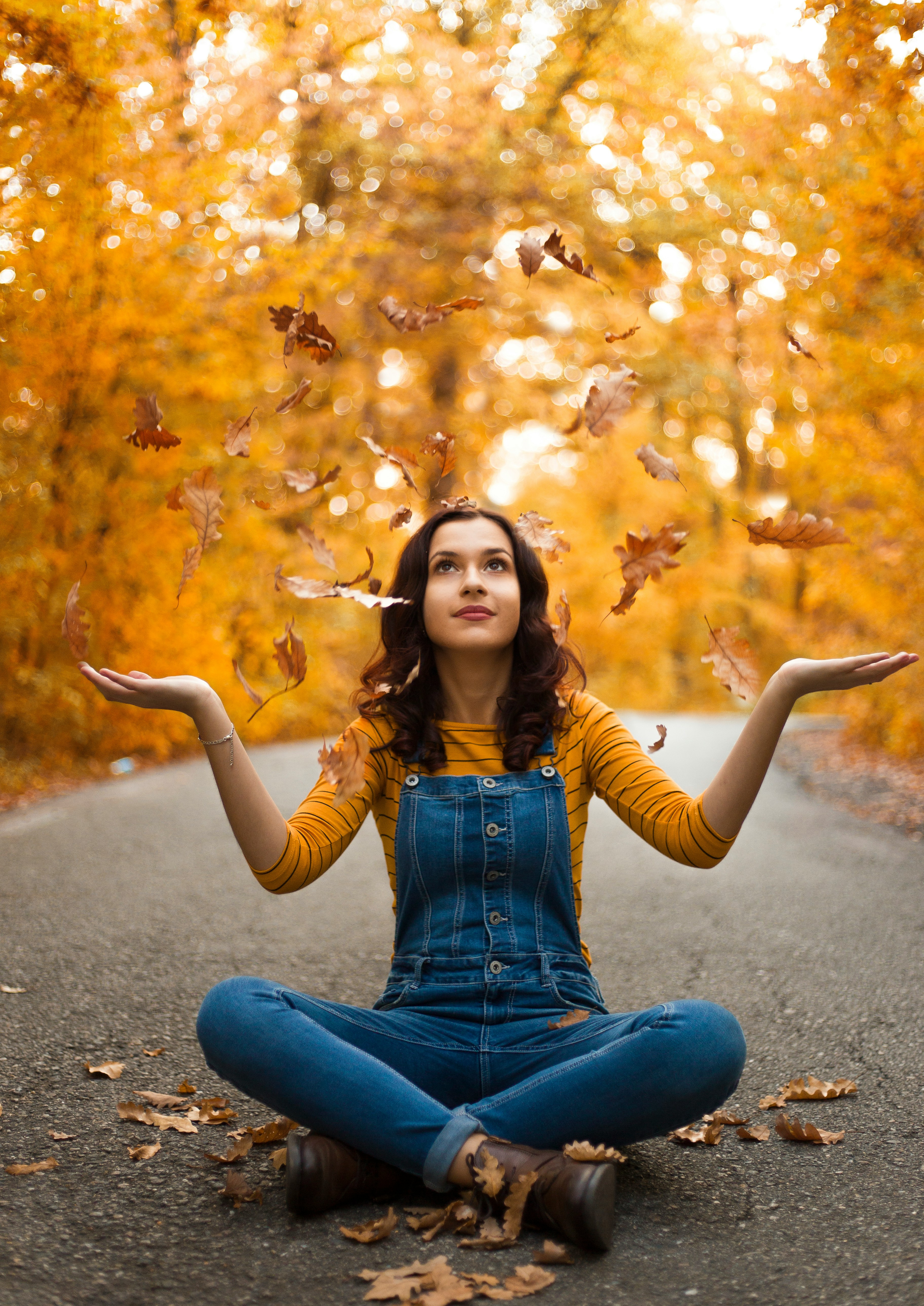 星光逐梦电视剧海报图